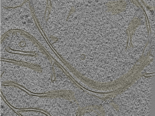 key visualization for 20230404_P7_ts_008