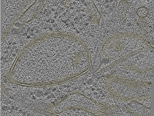 key visualization for 20230404_P8_ts_002