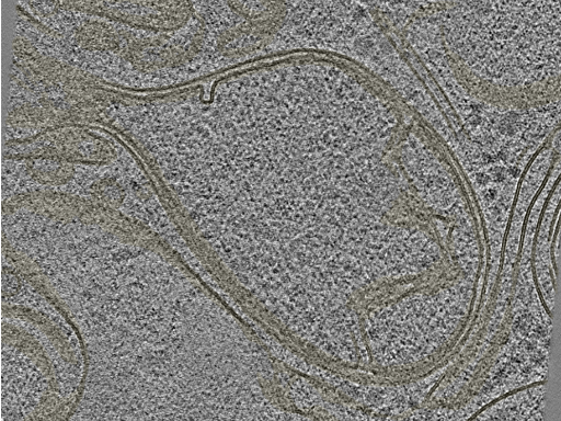 key visualization for 20230404_P8_ts_003