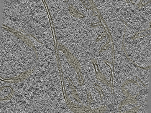 key visualization for 20230404_P8_ts_004