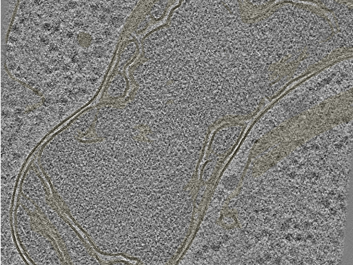 key visualization for 20230404_P8_ts_005