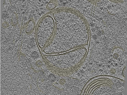 key visualization for 20230404_P8_ts_006