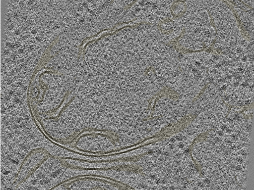 key visualization for 20230404_P8_ts_007