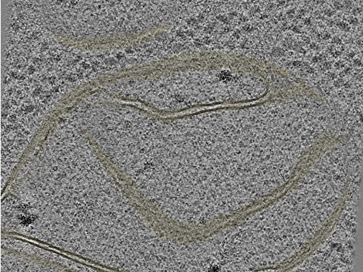 key visualization for 20230404_P9_ts_002