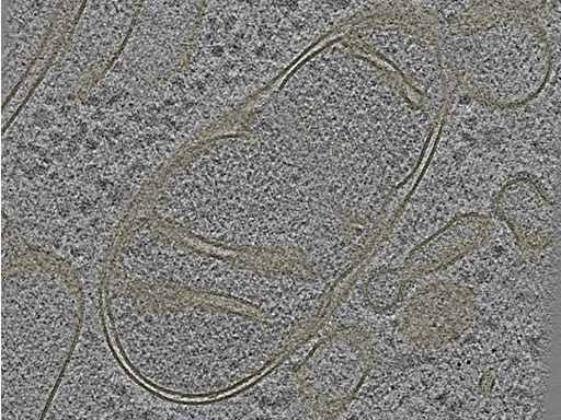 key visualization for 20230404_P9_ts_003