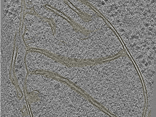 key visualization for 20230404_P9_ts_004