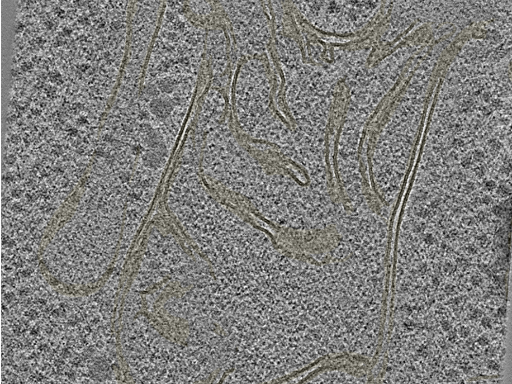 key visualization for 20230404_P9_ts_005