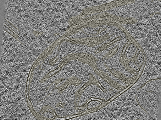 key visualization for 20230404_P9_ts_006