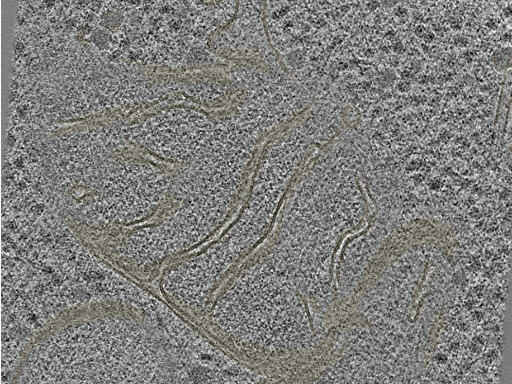 key visualization for 20230404_P9_ts_007