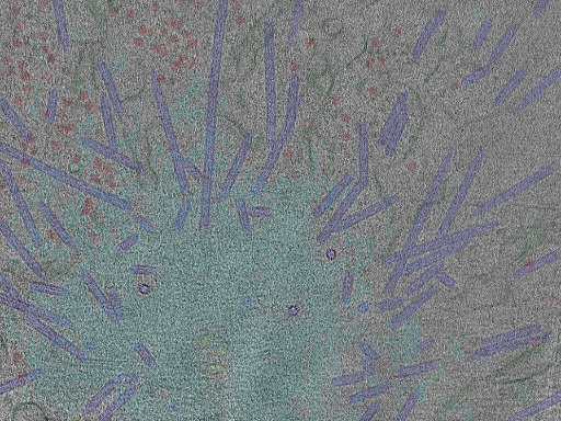 key visualization for cent11