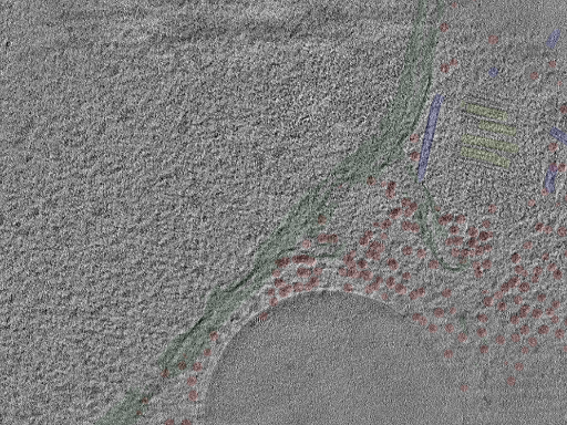 key visualization for cent3