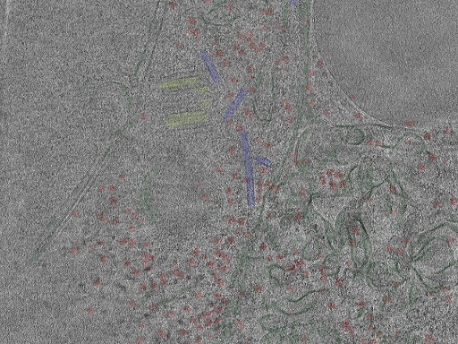 key visualization for cent4