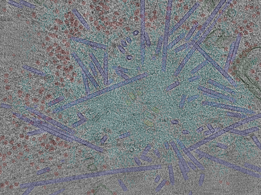 key visualization for cent6