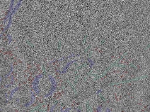 key visualization for cent9