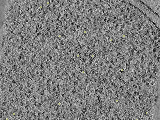 key visualization for 26feb20d_Position_6_4