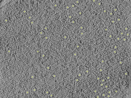 key visualization for 26feb20d_Position_6_6