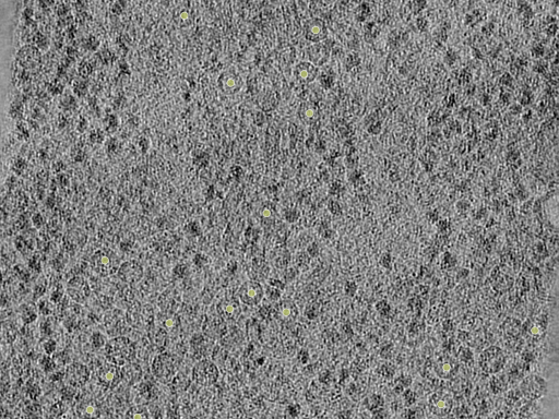 key visualization for 26feb20d_Position_9
