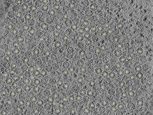 key visualization for 26feb20d_Position_9_2