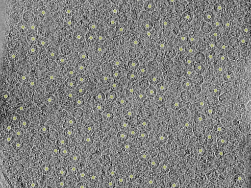 key visualization for 26feb20d_Position_9_6