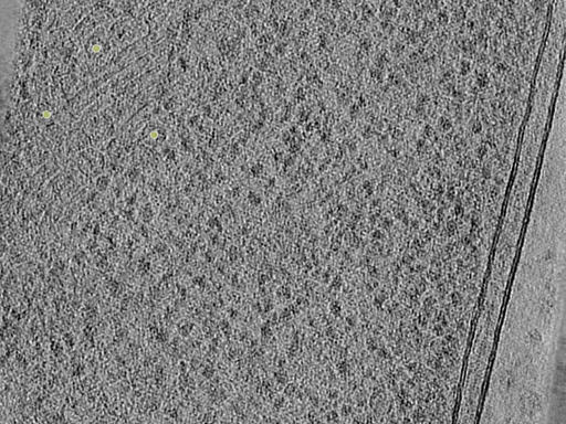key visualization for 26feb20d_Position_9_7