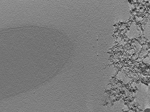 key visualization for 22Oct12_OmpB_01