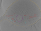 key visualization for Position_12