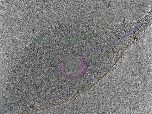 key visualization for Position_14