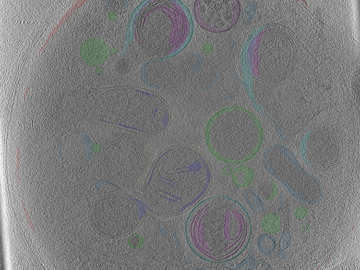 key visualization for Position_15