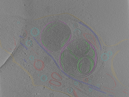 key visualization for Position_27