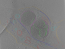 key visualization for Position_27