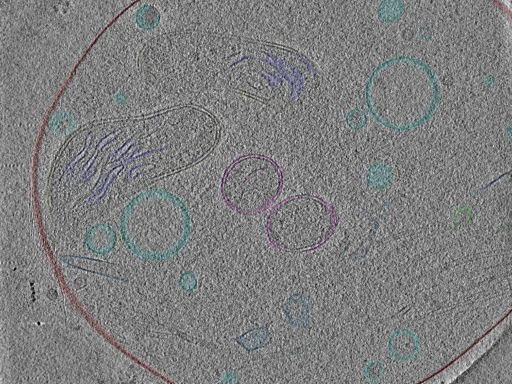 key visualization for Position_30