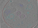 key visualization for Position_30