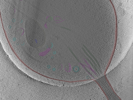key visualization for Position_04