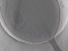 key visualization for Position_04