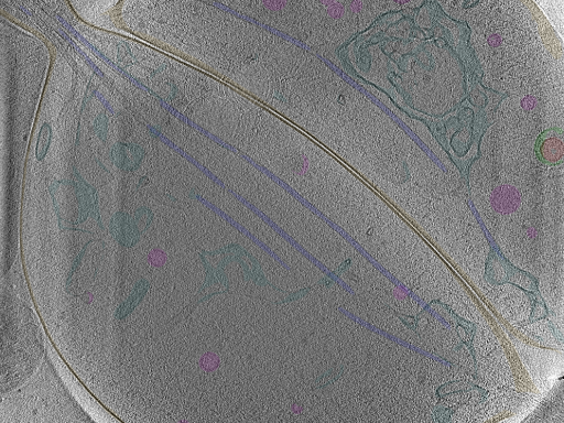 key visualization for Position_10