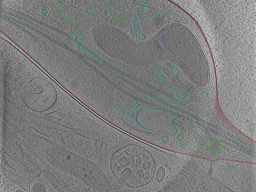 key visualization for Position_42