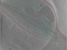 key visualization for Position_42