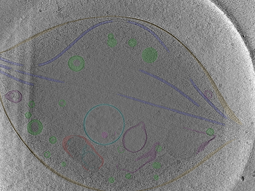 key visualization for Position_47