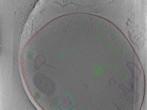 key visualization for Position_48