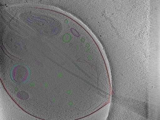 key visualization for Position_49