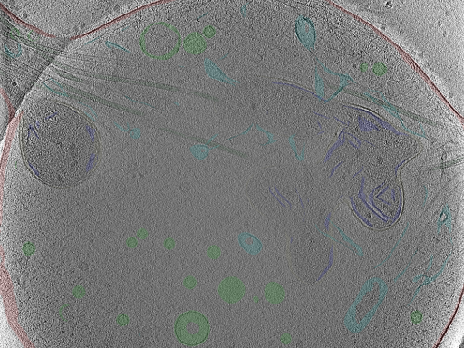 key visualization for Position_50