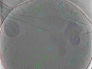 key visualization for Position_50