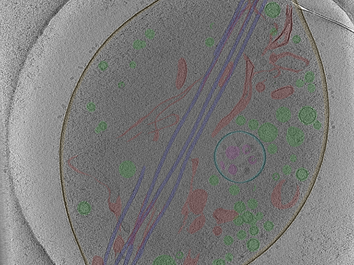 key visualization for Position_15