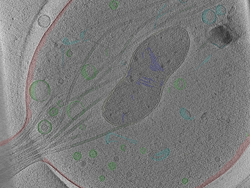 key visualization for Position_20