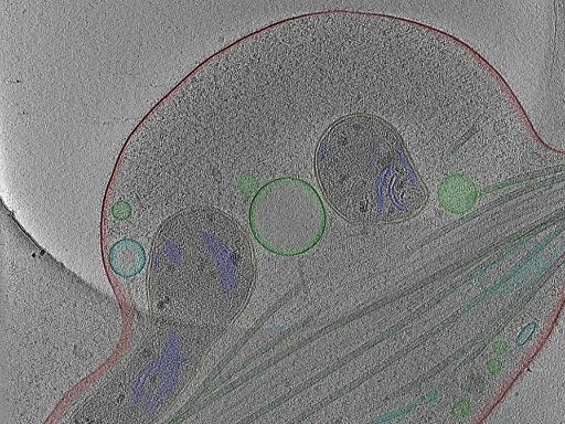 key visualization for Position_24
