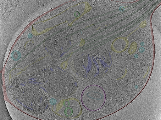 key visualization for Position_25