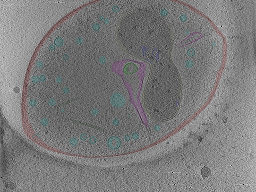 key visualization for Position_41C
