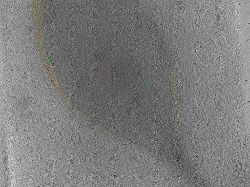key visualization for Position_44C