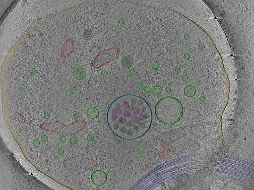 key visualization for Position_59C