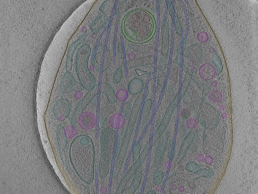 key visualization for Position_5B